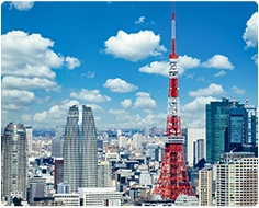 �����G���A